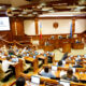 Parlamentul a luat act de demisia Tatianei Răducanu